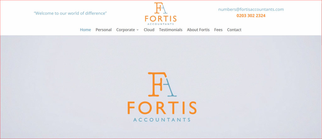 5. Fortis Accountants